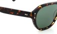 MOSCOT sun AVRAM DARK HAVANA 52size