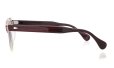 JULIUS TART OPTICAL サングラスカスタム通販 AR-46-22 PL-002J RED WOOD CLEAR/ Terracotta