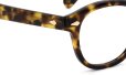 MOSCOT 限定生産メガネ通販 LEMTOSH 49size JPN LTD 17 SPOT TORTO