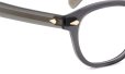 MOSCOT 限定生産メガネ通販 LEMTOSH 49size SMKG JPN LTD 13 RE