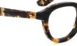 MOSCOT モスコット メガネ通販 DAHVEN 47 CLASSIC HAVANA