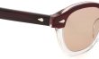 JULIUS TART OPTICAL サングラスカスタム通販 AR-46-22 PL-002J RED WOOD CLEAR/ Terracotta